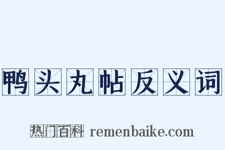 鸭头丸帖反义词是什么意思的图片